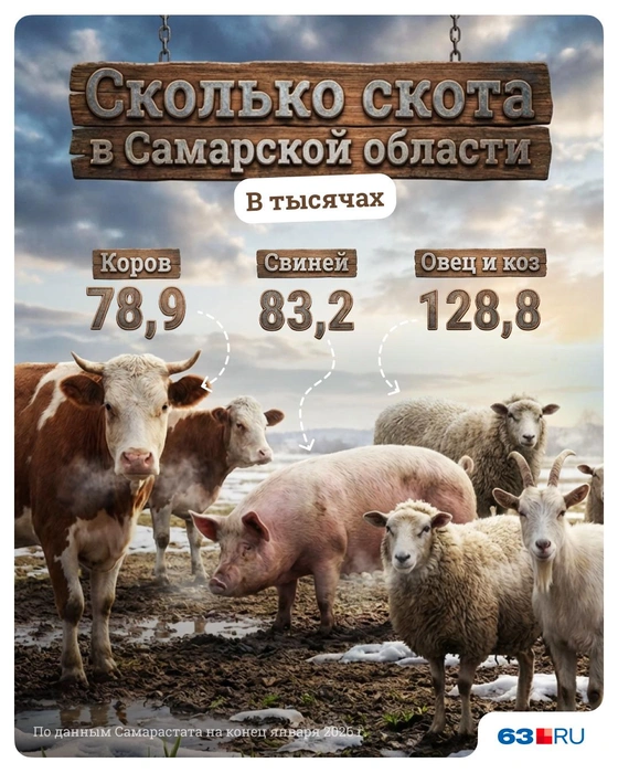 Источник: Полина Авдошина / Городские медиа