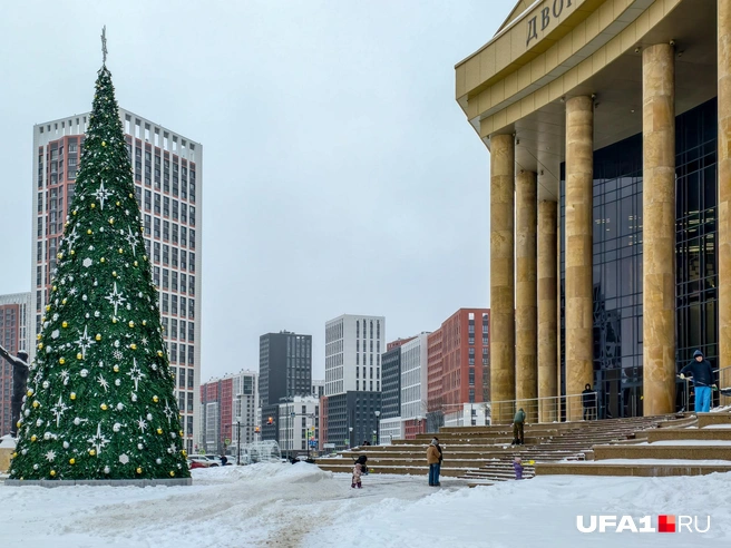 Елка на фоне современных высоток | Источник: Булат Салихов / UFA1.RU