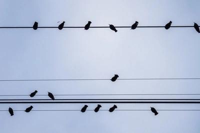 На Ставрополье 11 декабря отключат свет в 32 населенных пунктах