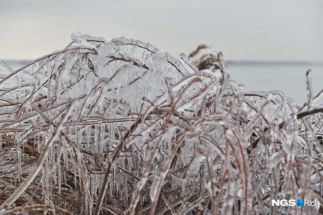 Инцидент произошел 20 октября | Источник: Александр Ощепков / NGS.RU