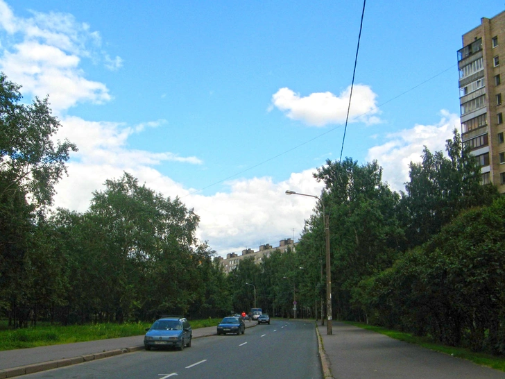 Источник: Екатерина Борисова, https://commons.wikimedia.org/