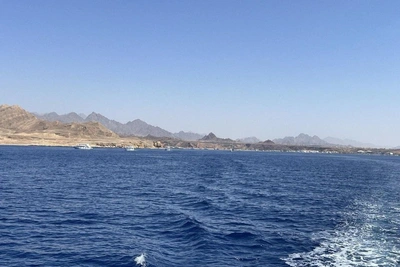 Scientists Predict More Shark Attacks on Tourists in Egypt