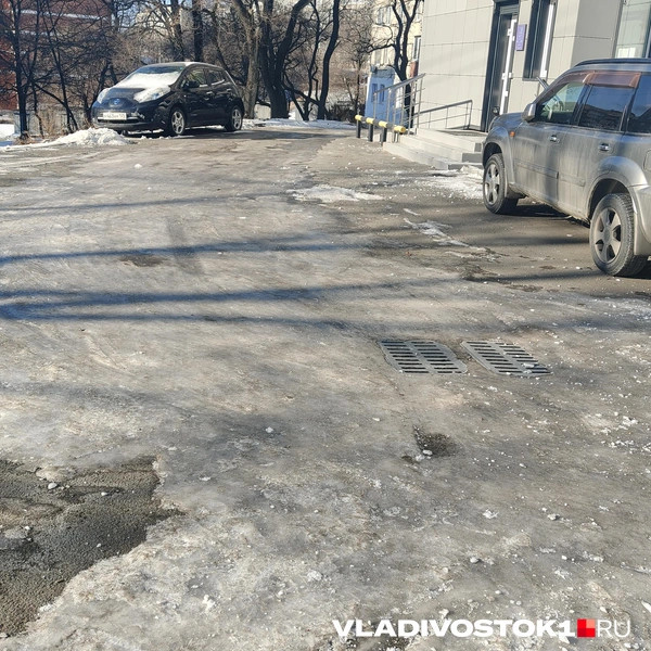 Источник: Елена Буйвол / VLADIVOSTOK1.RU
