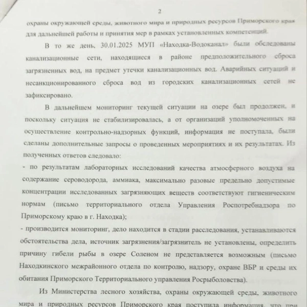 Источник: Красивая Находка / t.me