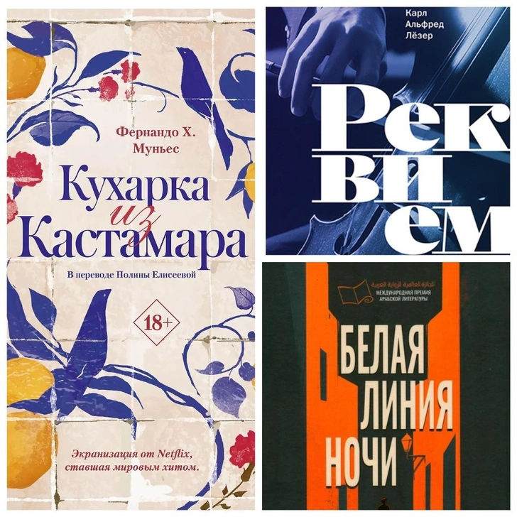 Голоса сквозь время: топ-5 книг о личной драме в контексте истории | mydecor.ru