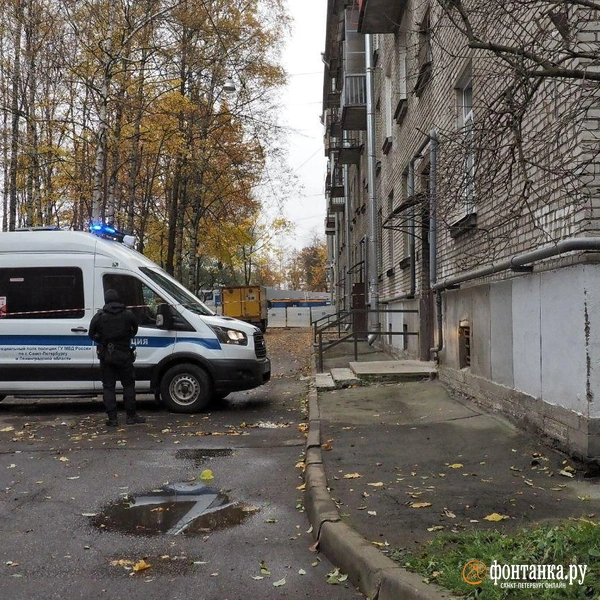 Источник: Михаил Огнев / «Фонтанка.ру»