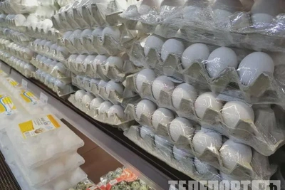 В Приамурье подешевели яйца из-за переизбытка