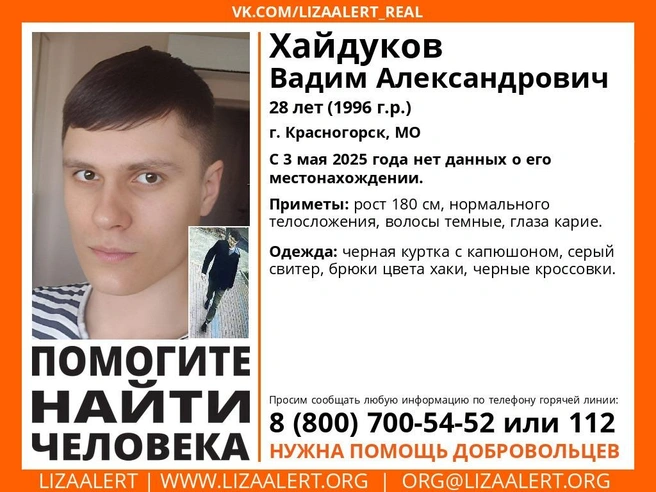 Источник: lizaalert.org