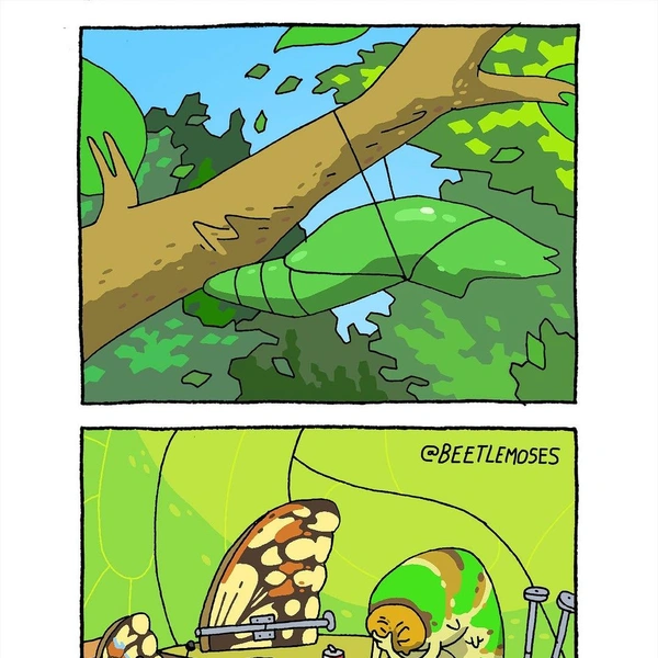 Источник: соцсети