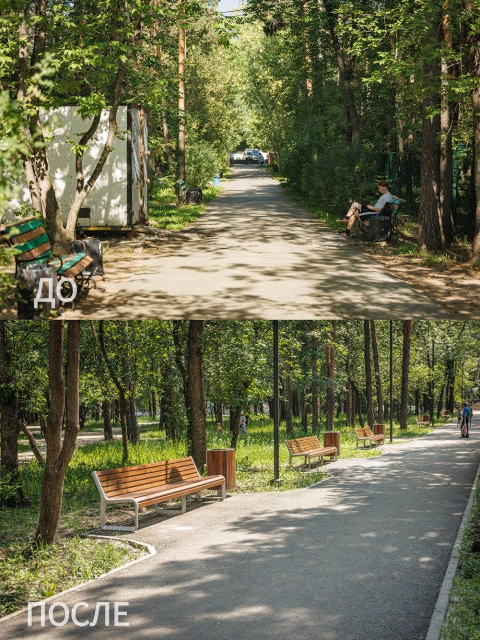 Появились новые скамейки и урны | Источник: glavaekbofficial / t.me