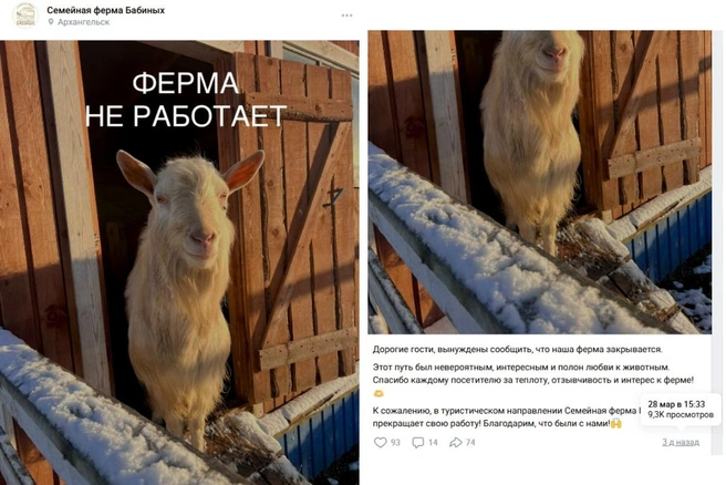 Источник: Семейная ферма Бабиных / Vk.com