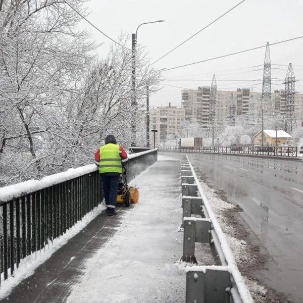 Источник: Комитет по благоустройству Петербурга