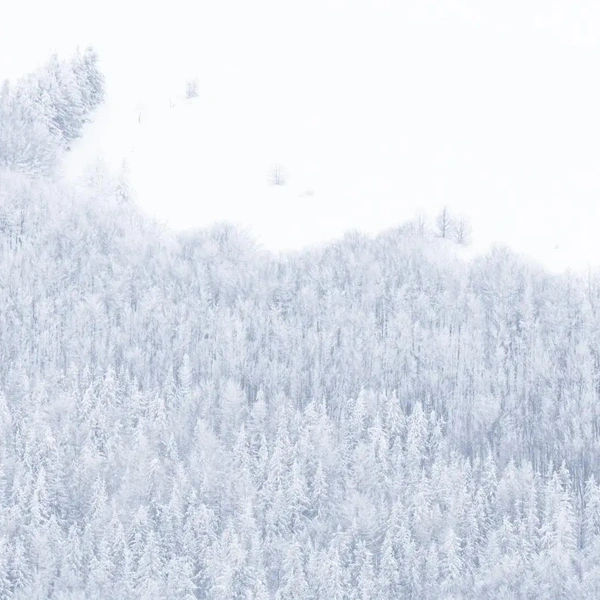 Источник: Tomasz Kudelski / Minimalist Photography Awards 2025