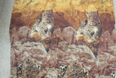 Вознаграждение 1 млн рублей за помощь в поиске матери новорожденного