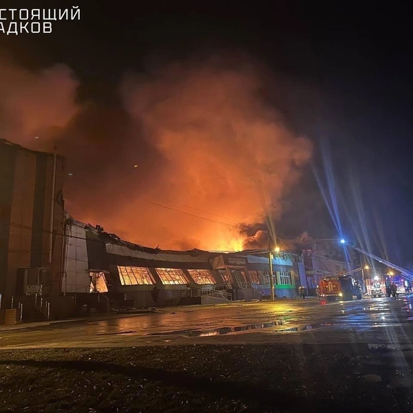 Источник: «Настоящий Гладков» / Telegram