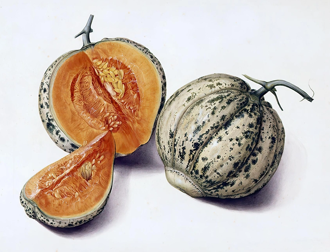 Урожая не будет: 9 растений, с которыми мучаются даже опытные огородники | Источник: Legion Media