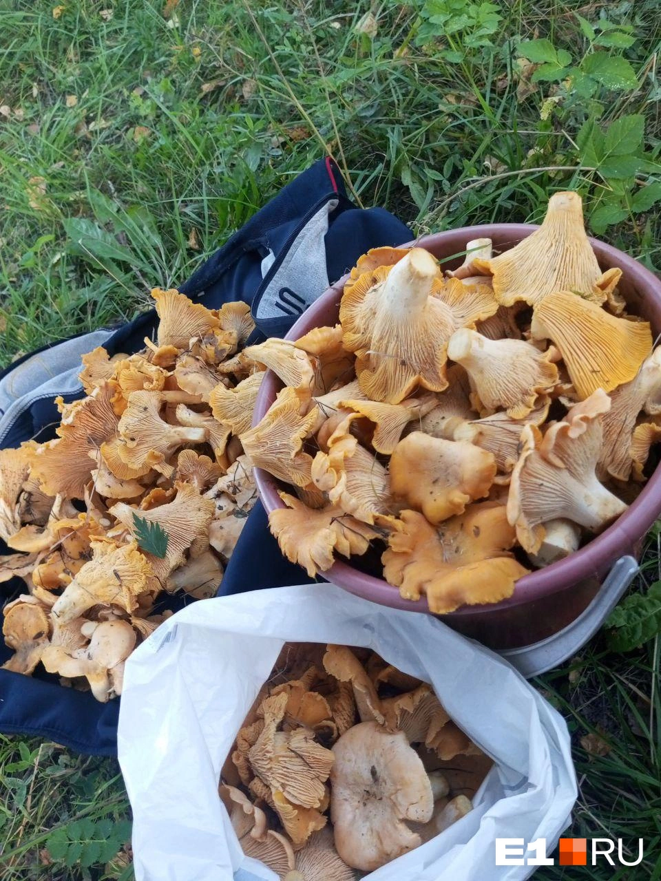 Источник: читательница E1.RU Татьяна