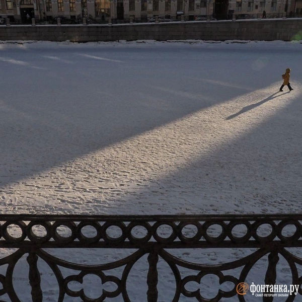 Источник: Михаил Огнев / FONTANKA.RU