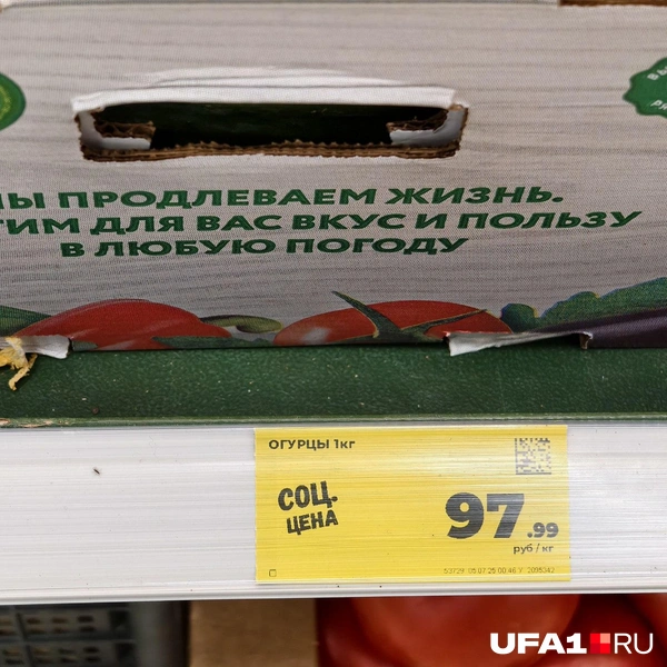 Источник: Булат Салихов / UFA1.RU