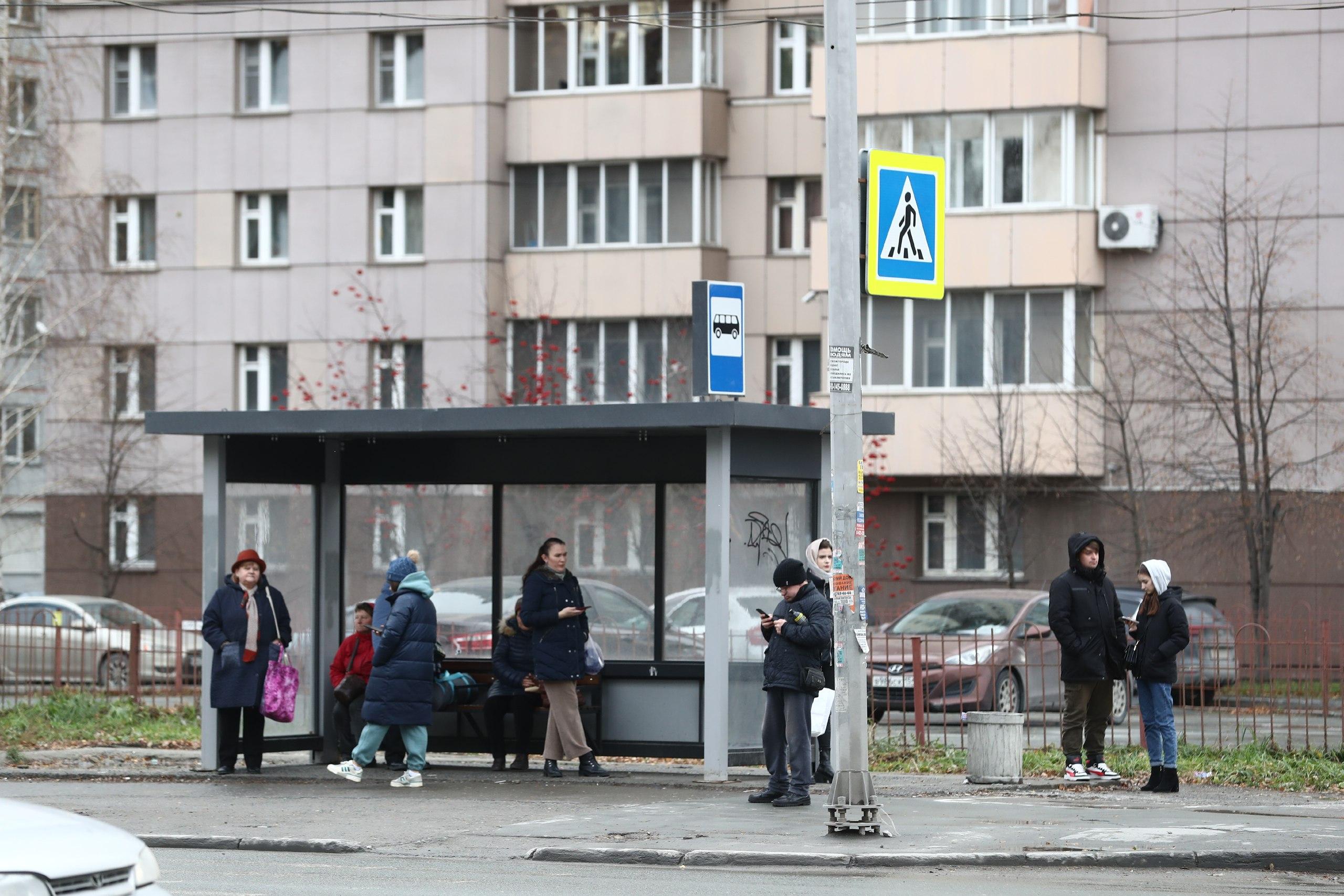 Возле Новосибирского зоопарка красивую остановку с животными заменили на  обычную - 25 октября 2023 - НГС.ру