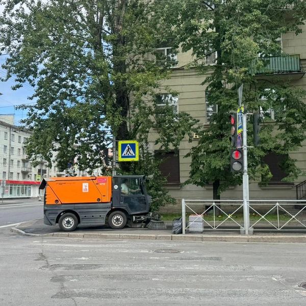 Источник: Комитет по благоустройству Санкт-Петербурга