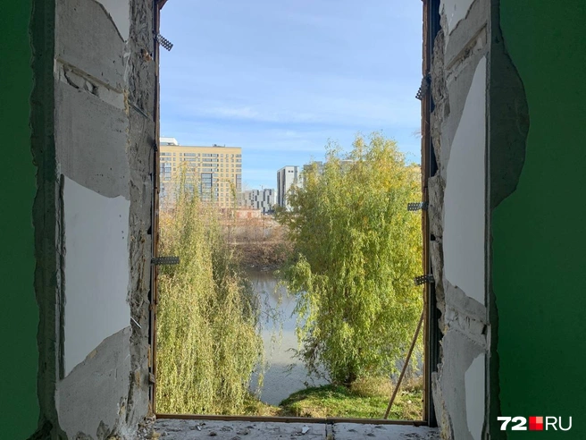 Такой вид открывается из домов на участке, где раньше жил Ганс | Источник: 72.RU