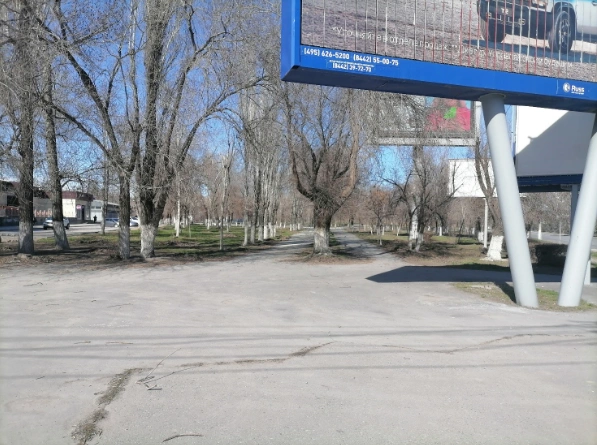 От парка осталось одно название | Источник: голосование за благоустройство на «Госуслугах»