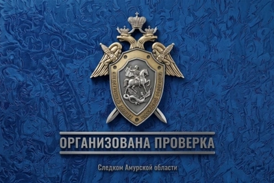 СК начал проверку избиения во дворе Благовещенска