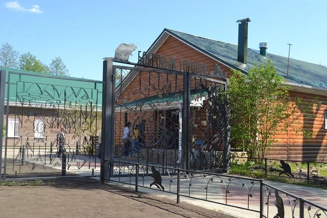 Источник: Бобровый городок / zapovednik-vrn.ru