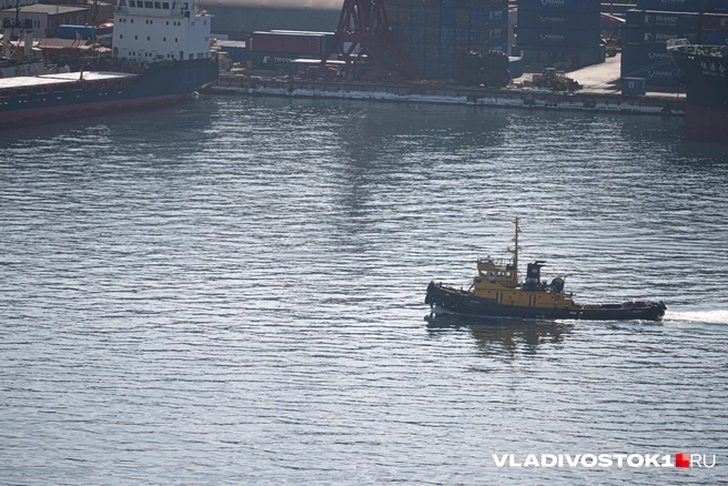 В прошлом году он был ниже в два раза | Источник: Елена Буйвол / VLADIVOSTOK1.RU