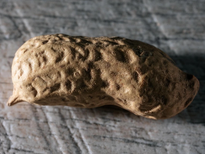 Арахис ценится за высокое содержание белка и жиров | nsk54.online