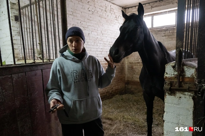 У молодых жеребцов еще нет кличек, им ее дают примерно в полтора года | Источник: Евгений Вдовин / 161.RU
