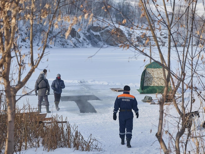 В регионе проходит акция «Ледостав», в ходе которой выход на лед запрещен из-за образования неподвижного ледяного покрова. С моржами провели разъяснительную беседу. | Источник: Александр Ощепков / NGS.RU