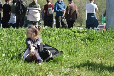До +17 и заморозки: погода в Мурманской области 2 июня