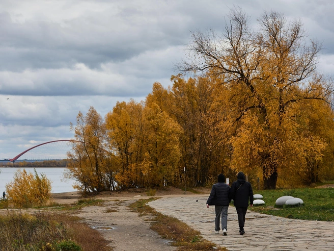 Прогулки в такое время могут быть приятными | Источник: Александр Ощепков / NGS.RU
