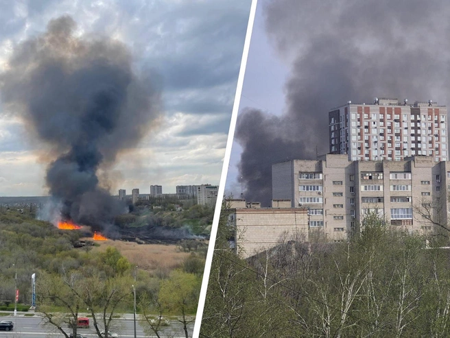 Пожар в пойме Царицы: пламя подбирается к домам | Источник: читатели V1.RU