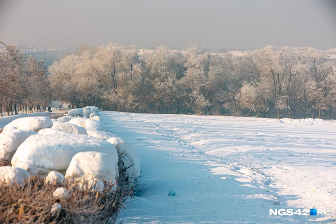 Источник: Максим Серков / NGS42.RU