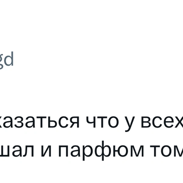 Источник: X (Twitter)