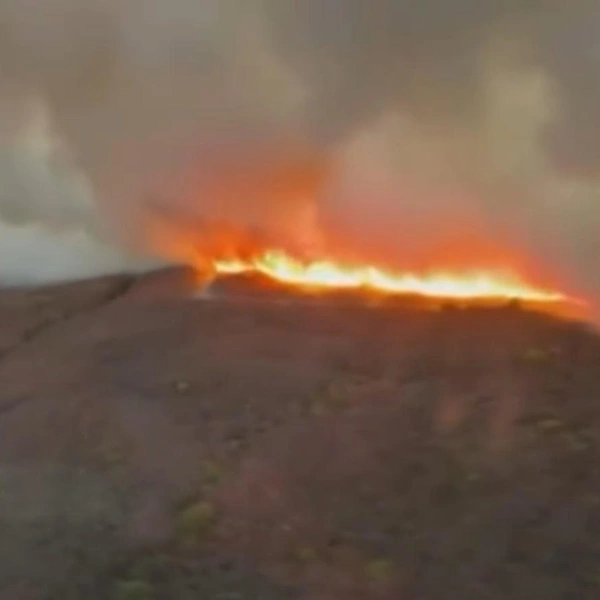 Источник: скриншот @StuffNewZealand