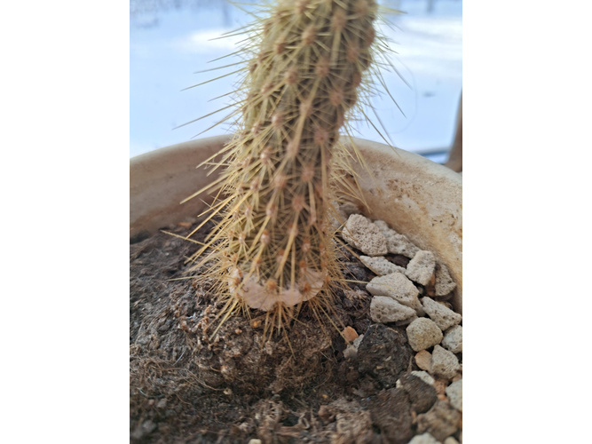 Изображение пользователя