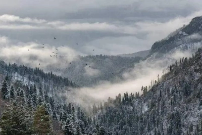 Ministry approves protective zone for Caucasian Reserve, land safe