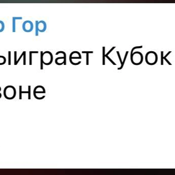 Источник: ХК «Ак Барс» / T.me