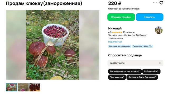 Источник: Avito.ru