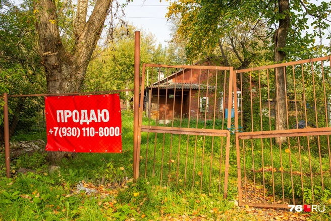 И вряд ли это будет дорого... | Источник: Александра Савельева