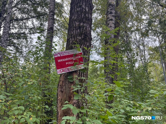 Вдруг вы забудете, где находитесь  | Источник: Мария Лобанова / NGS70.RU 