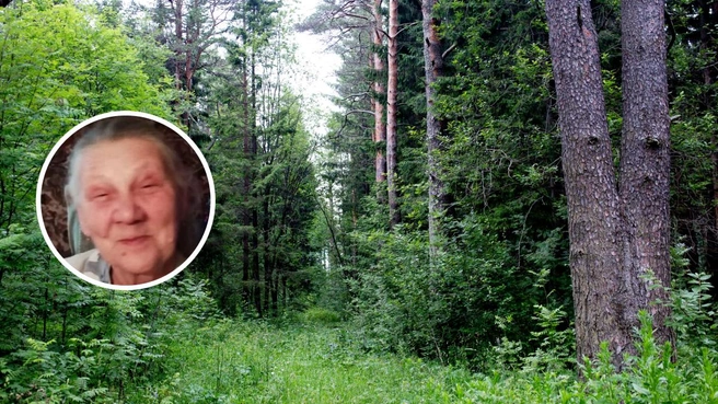 Татьяну Масину до сих пор не нашли | Источник: Александра Савельева, Лиза Алерт / vk.com