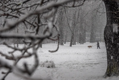 Сильный снегопад и ветер в Алтайском крае