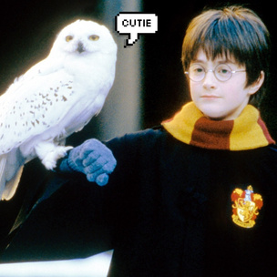 Тест: Какой ты волшебный питомец из «Гарри Поттера»?