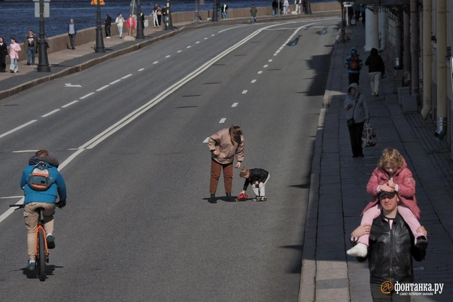 Источник: Михаил Огнев / «Фонтанка.ру»