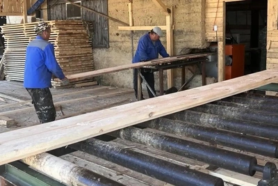 Лесопромышленный комплекс в Башкирии продают за 90 млн